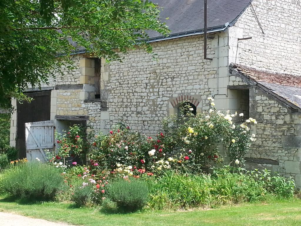 NouâtreLa Cle Des Jardins住宿加早餐旅馆 外观 照片