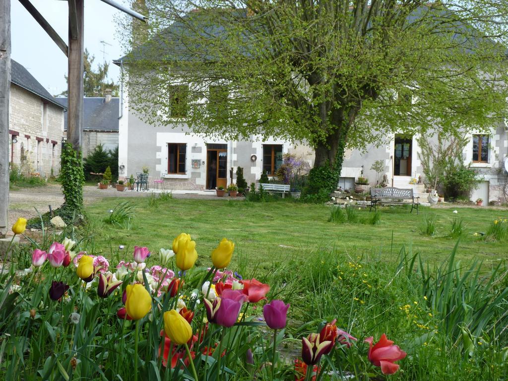 NouâtreLa Cle Des Jardins住宿加早餐旅馆 外观 照片