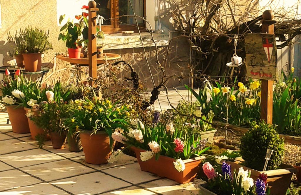 NouâtreLa Cle Des Jardins住宿加早餐旅馆 外观 照片